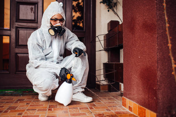 Reliable Cockroach Control contractor in Cedar City, UT by Nex Pest Control